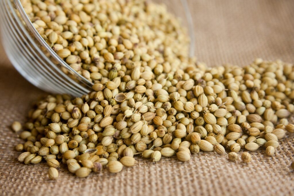 coriander seeds