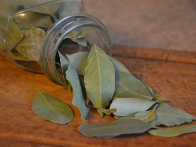 bay leaf